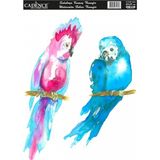 Cadence KTSB 005