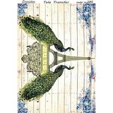 Cadence TT-285 32x45 cm Tela Transfer