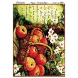 Cadence TT-396 32x45 cm Tela Transfer