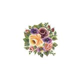 Cadence XL02 35x50 Gülsün Ülkü