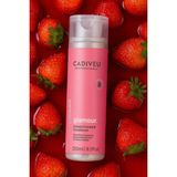 Cadiveu Yıpranmış ve Kuru Saçlar Için Onarıcı ve Besleyici Saç Kremi 250ML - BAKIM