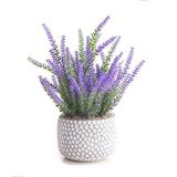 CADNLY Saksıda Sahte Lavanta Bitkisi - Sahte Lavanta Çiçekleri Yapay Lavanta Dekoru Mor Banyo Bitkileri Dekoru - Bahar Sahte Saksı Çiçek Dekoru - Küçük Yapay Çiçekler Ev Dekoru İç Mekan