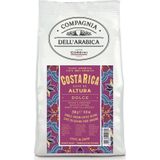 Caffe Corsini 250 gr Kosta Rika Altura Arabica Çekirdek Kahve
