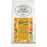 Caffe Corsini Brezilya Santos %100 Arabica Çekirdek Kahve 250 gr - 1 Paket