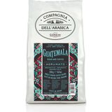 Caffe Corsini Guatemala %100 Arabica Çekirdek Kahve 250 gr - 1 Paket