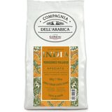 Caffe Corsini Hindistan Monsooned Malaba %100 Arabica Çekirdek Kahve 250 gr - 1 Paket
