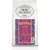 Caffe Corsini Kosta Rika Altura %100 Arabica Çekirdek Kahve 250GR - 1 Paket