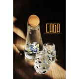 Caga Home CAGA PİNTEREST Yabanmersini Desenli 2 Parça Bardak ve Borosilikat Cam Sürahi (900 ML) Takım Seti