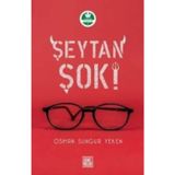 Çağdaş Siyaset Felsefesi Kılavuzu - Thomas Pogge Philip Pettit Robert E. Goodin