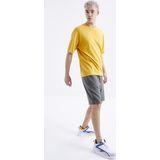 Çağla Bağcıklı Standart Kalıp Basic Erkek Şort - 81212