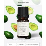 Caintela Avokado Yağı 20 ml – Cildin Nemli Kalmasına Yardımcı, %100 Doğal ve Saf (Avocado Oil)