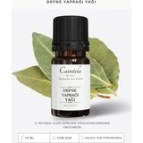 caintela Defne Yaprağı Yağı % 100 Doğal ve Saf & Cildinize veya Saçlarınıza Parlaklık Vermeye Yardımcı 10 ml