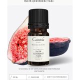 Caintela İncir Çekirdeği Yağı 20 ml – Cilt Beslemeye Yardımcı, %100 Doğal ve Saf (Fig Seed Oil)
