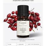Caintela Kuşburnu Çekirdeği Yağı 20 ml – Cilt Besleyici ve Nemlendirici, %100 Doğal ve Saf