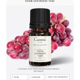 Caintela Üzüm Çekirdeği Yağı 20 ml – Saç Köklerinin Nemlenmesine Yardımcı, %100 Doğal ve Saf (Grape Seed Oil)