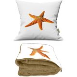Caisya Home Deniz Yıldızı Desenli Opsiyonel Battaniyeli Yastık Dekoratif Kırlent 38 x 38 cm - Standart - Renkli
