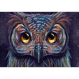 Cakapuzzle Baykuş Dijital Renkli Çizim 120 Parça Ahşap Puzzle