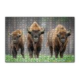 Cakapuzzle Bieszczady Bizonu Görseli 120 Parça Ahşap Puzzle