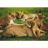 Cakapuzzle Çayırda Dişi Aslanlar ve Yavruları 120 Parça Ahşap Puzzle