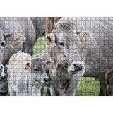 Cakapuzzle Çayırda Gri İnekler ve Sevimli Buzağı 120 Parça Ahşap Puzzle