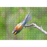 Cakapuzzle Daldan Ayrılmak Üzere Olan Rengarenk Kuş 120 Parça Ahşap Puzzle