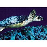 Cakapuzzle Deniz Dibinde Kaplumbağası 120 Parça Ahşap Puzzle