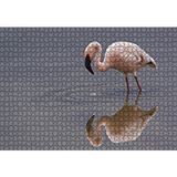 Cakapuzzle Gölde Avlanan Flamingo 120 Parça Ahşap Puzzle