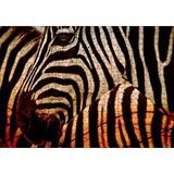 Cakapuzzle Günbatımında Zebra Desenleri Yakın Çekim 120 Parça Ahşap Puzzle
