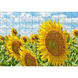 Cakapuzzle Günebakan Çiçekleri 120 Parça Ahşap Puzzle