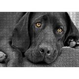 Cakapuzzle Kara Labrador Üzgün Köpek 120 Parça Ahşap Puzzle