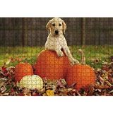 Cakapuzzle Köpek Kabaklar 120 Parça Ahşap Puzzle