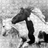 Cakapuzzle Koşan Siyah Beyaz Atlar Görseli 120 Parça Ahşap Puzzle