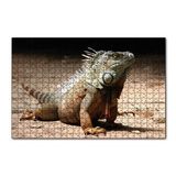 Cakapuzzle Kumlar Üzerinde Görkemli Iguana 255 Parça Puzzle