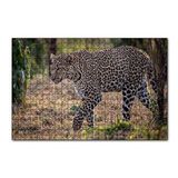 Cakapuzzle Kuru Otlar Üzerinde Yürüyen Leopar 120 Parça Puzzle