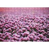 Cakapuzzle Mor Renkli Tomurcuk Çiçekler 120 Parça Ahşap Puzzle