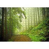 Cakapuzzle Orman Yolu Puslu 120 Parça Ahşap Puzzle