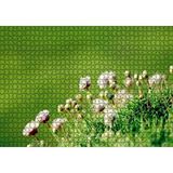Cakapuzzle Otların Arasında Yeni Açan Çiçekler 120 Parça Ahşap Puzzle
