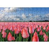 Cakapuzzle Pembe Lale Bahçesi Görseli 120 Parça Ahşap Puzzle