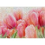 Cakapuzzle Pembe Laleler Görseli 120 Parça Ahşap Puzzle