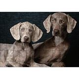Cakapuzzle Sevimli Kahverengi Weimaranerler 120 Parça Ahşap Puzzle