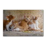 Cakapuzzle Sevimli Sarman Yavruları 120 Parça Ahşap Puzzle