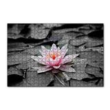 Cakapuzzle Siyah Beyaz Lotus Yaprakları ve Pembe Nilüfer Çiçeği 120 Parça Ahşap Puzzle