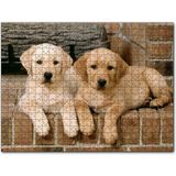 Cakapuzzle Şöminenin Önünde İki Labrador Yavrusu 120 Parça Ahşap Puzzle