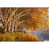 Cakapuzzle Sonbahar Rengi Ağaçlar ve Durgun Göl 120 Parça Ahşap Puzzle