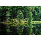 Cakapuzzle Su ve Yeşilin İnanılmaz Buluşması 120 Parça Ahşap Puzzle