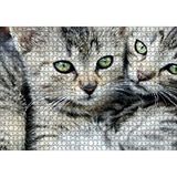 Cakapuzzle Tekir Yavru Kediler 120 Parça Ahşap Puzzle