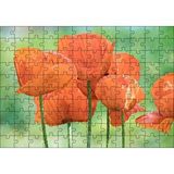 Cakapuzzle Turuncu Gelincikler 120 Parça Ahşap Puzzle