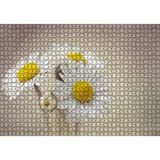 Cakapuzzle Üç Papatya Yakın Çekim Flu Arkaplan 120 Parça Ahşap Puzzle