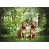 Cakapuzzle Yeşil Ağaçlar Arasındaki Kahverengi Boxerlar Puzzle Yapboz Mdf Ahşap