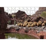 Cakapuzzle Yuvarlak Kaktüsler ve Kayalar 120 Parça Ahşap Puzzle